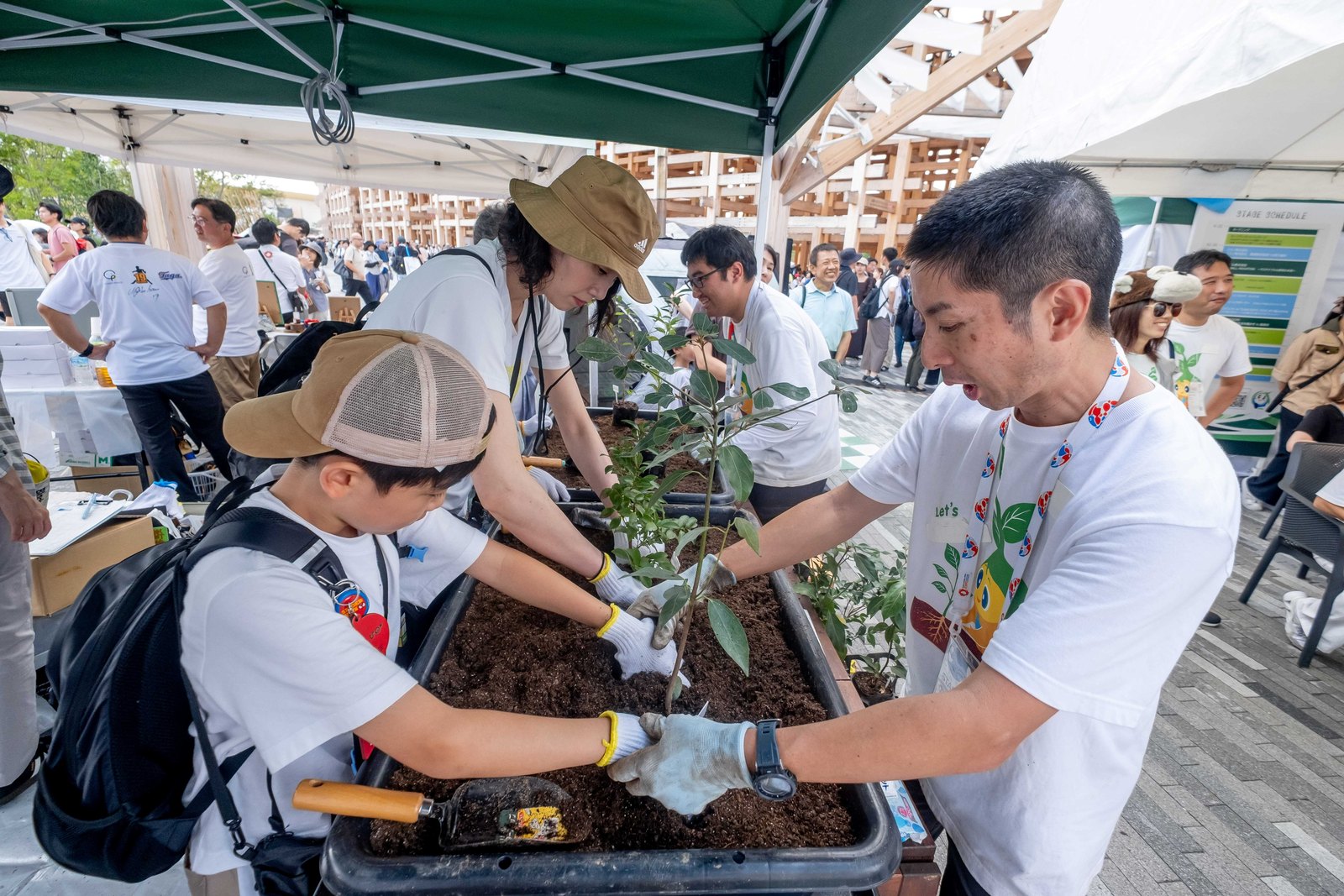 スタッフと参加者が協力して苗木を植えている様子