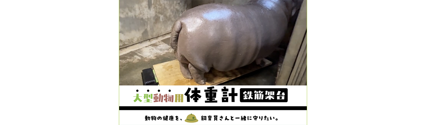 大型動物用体重計鉄筋架台