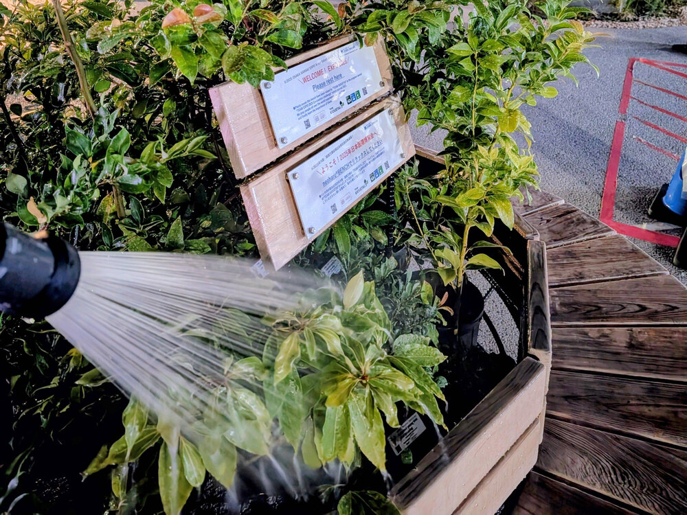 neoharuBENCHに植えた苗木へホースで水をかける様子