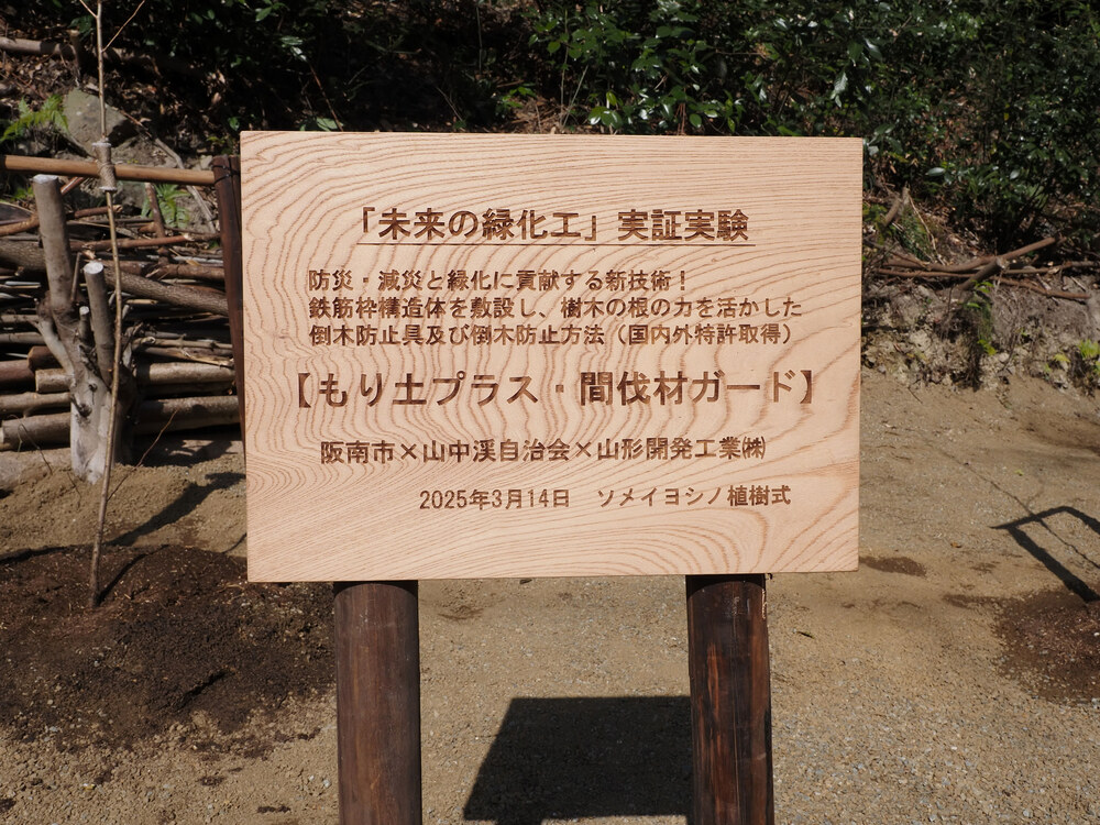 実証実験の目的や倒木防止技術を記した木製の案内看板