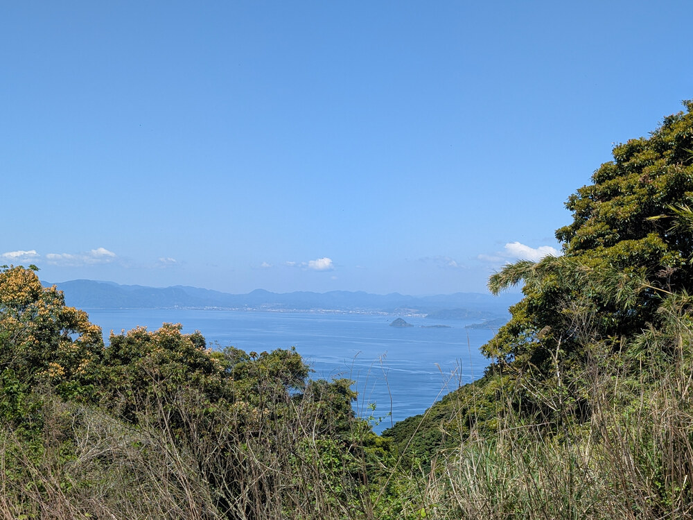 社有林付近の草木越しに見渡す海と山並み