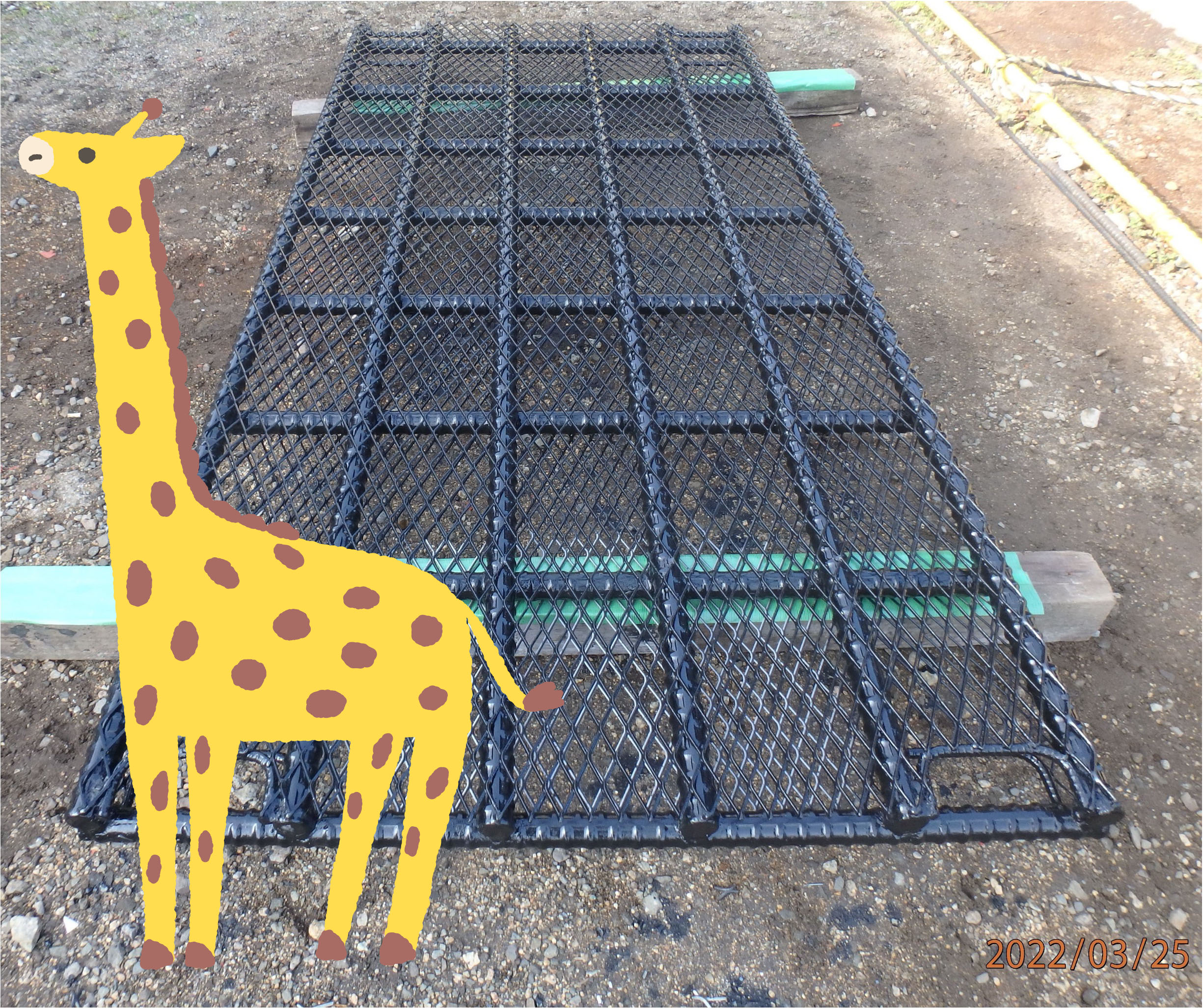 （画像）キリン用の大型動物用体重計鉄筋架台